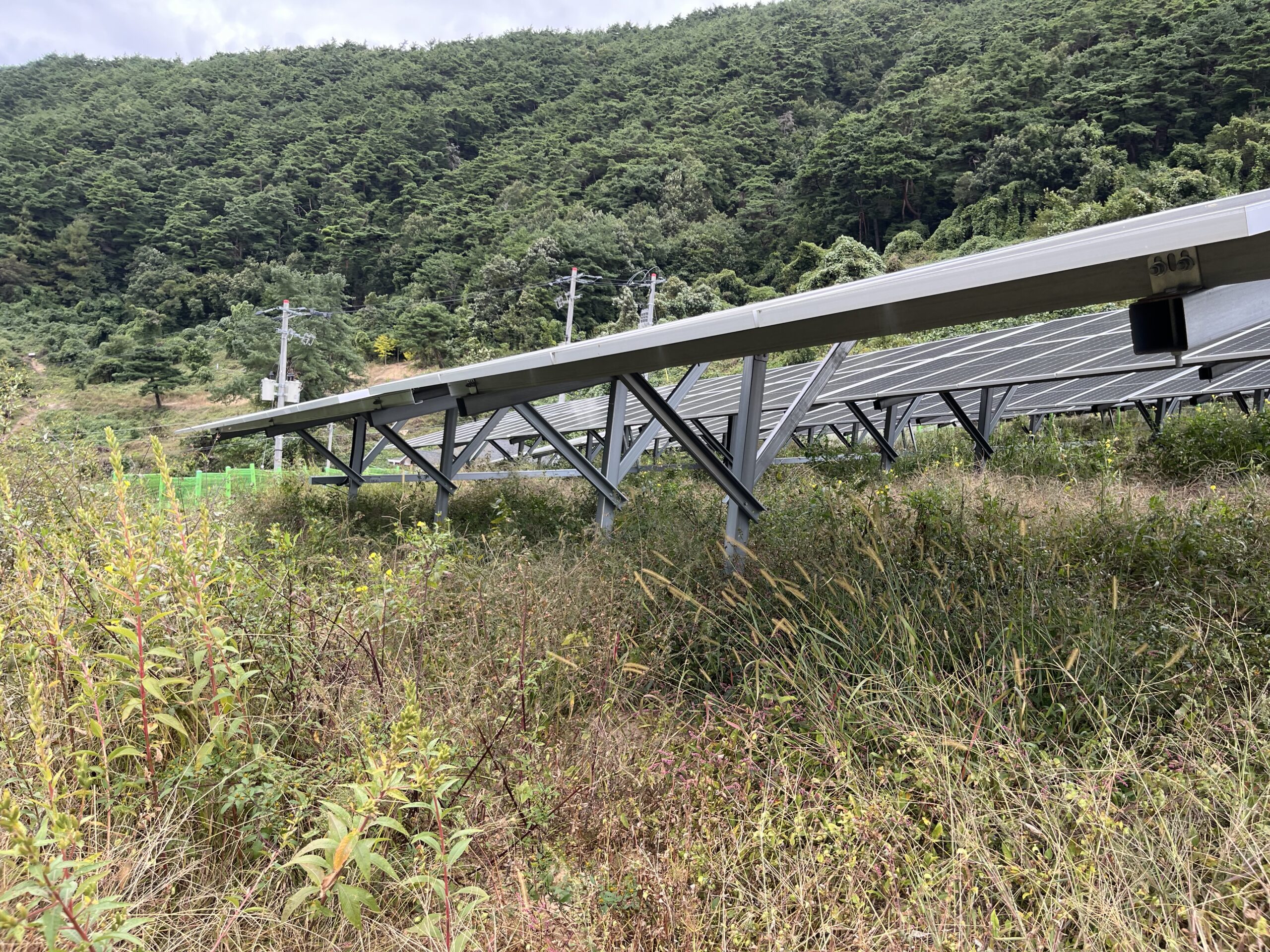 태양광 예초 전